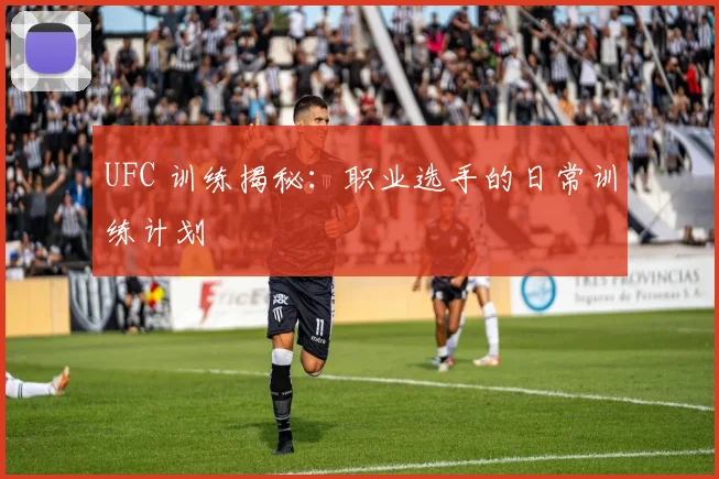 UFC 训练揭秘:职业选手的日常训练计划