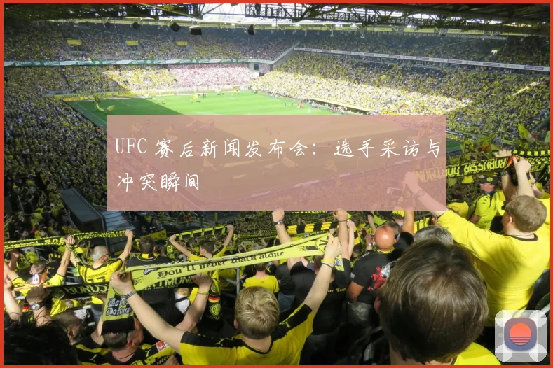 UFC 赛后新闻发布会:选手采访与冲突瞬间